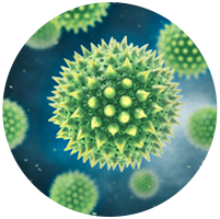 Der Roborock H6 beseitigt bei der Reinigung 2-100μm Pollen. Der Roborock H6 beseitigt bei der Reinigung 2-100μm Pollen.