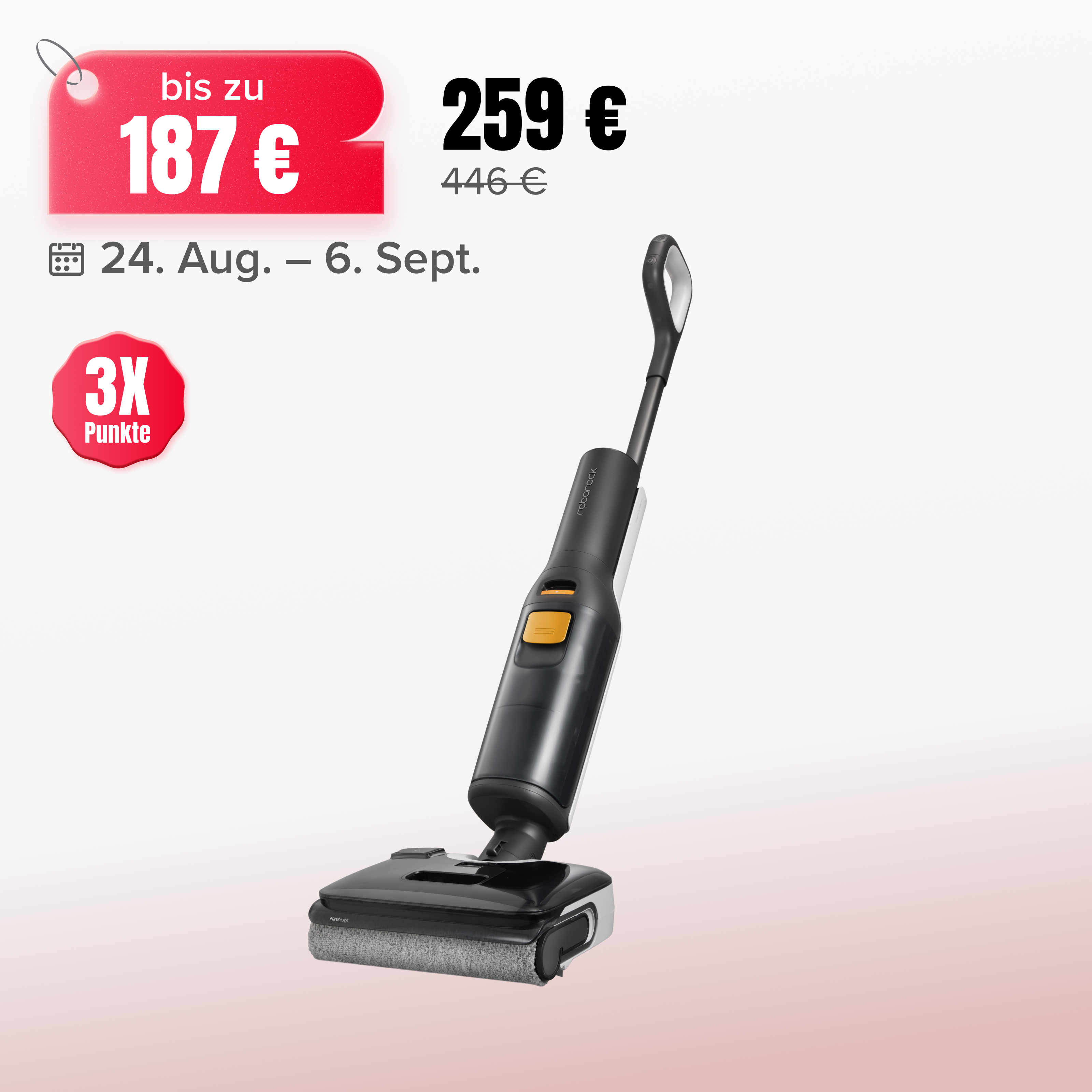 Roborock F25 BX