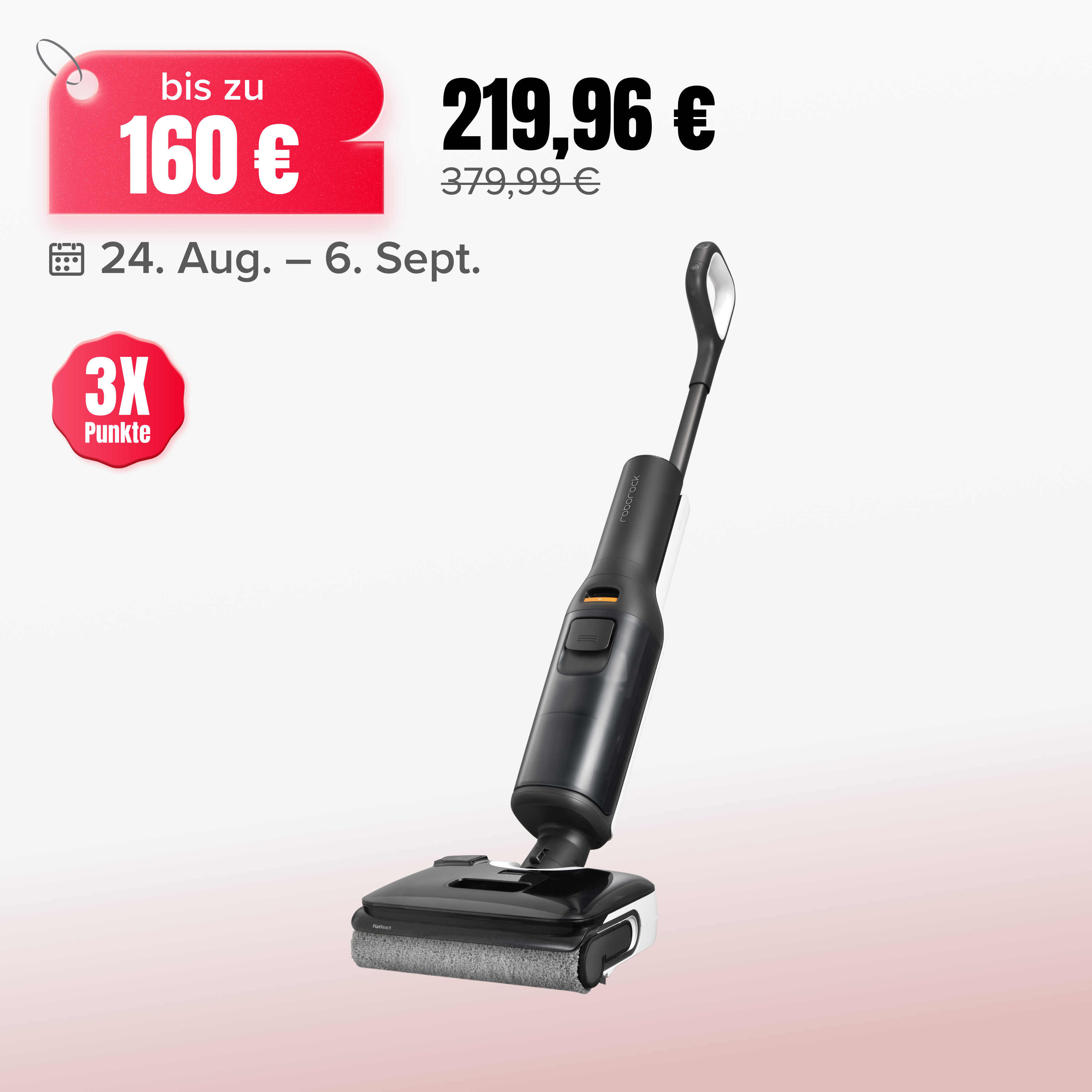 Roborock F25 LT