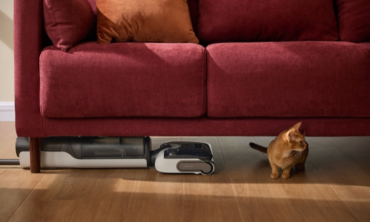 Frühjahrsputz mit Haustieren: Sauberes Zuhause, mehr Zeit für Ihren Liebling